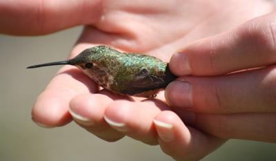 Islamische Verhaltensregeln-26-islami.jpg